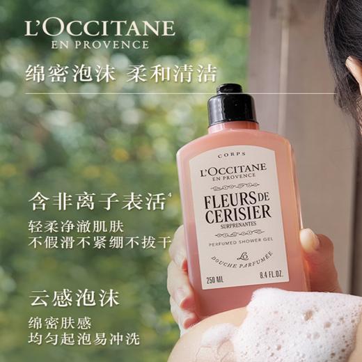 【香港免税店🇭🇰*送礼袋】L'OCCITANE欧舒丹绮梦樱花四件套（身体乳200ml+香氛沐浴啫喱250ml +护手霜30ml +刮板1个）·香港直邮-x_bba 商品图4