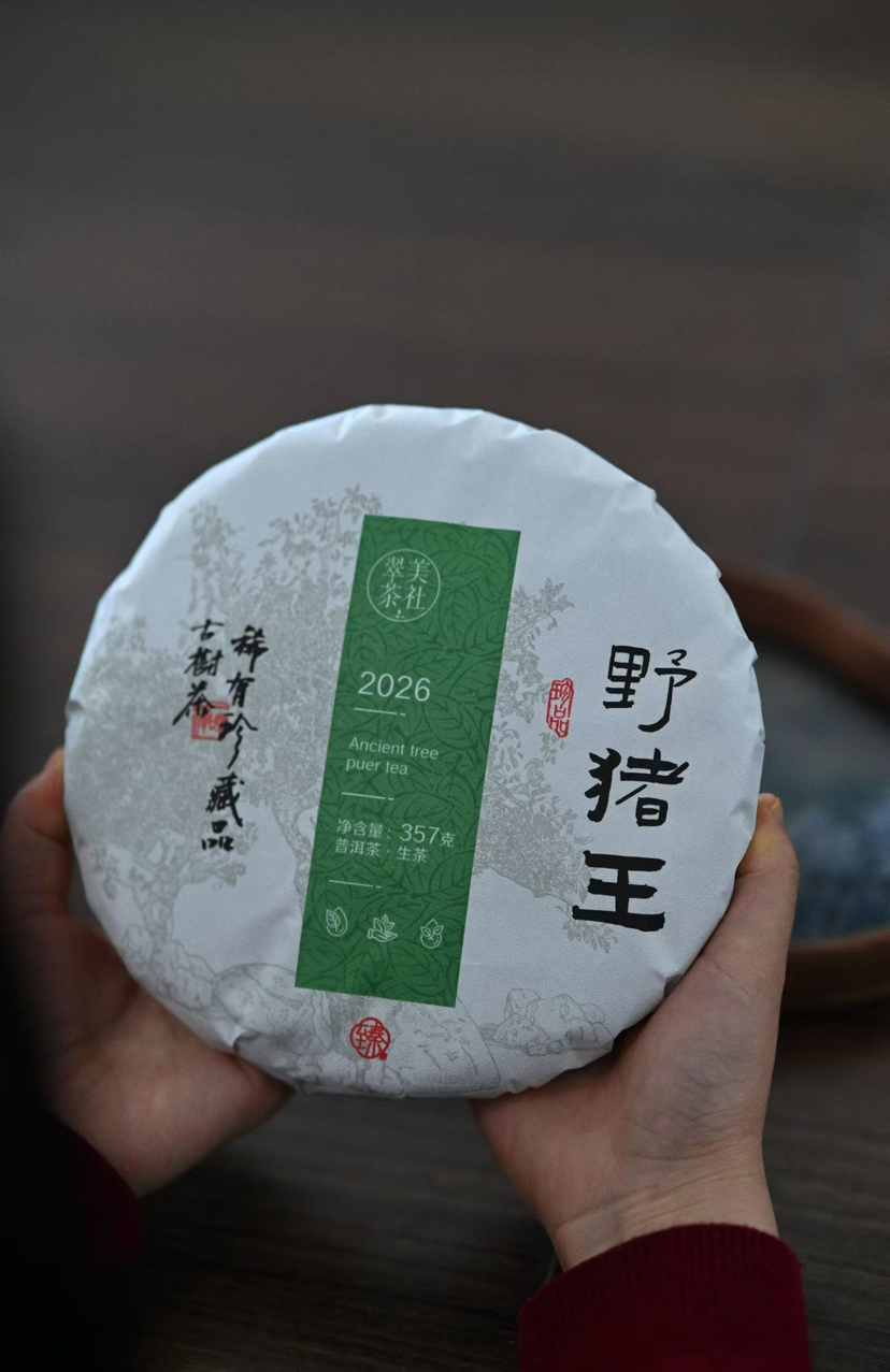 【2026野猪王】野猪林茶王树