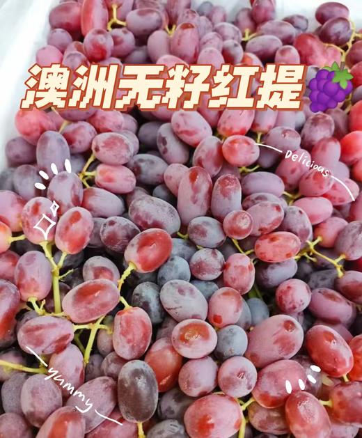 周日取货：【澳洲无籽红提】一份1.5斤左右，脆嫩，无籽，纯甜。 商品图6