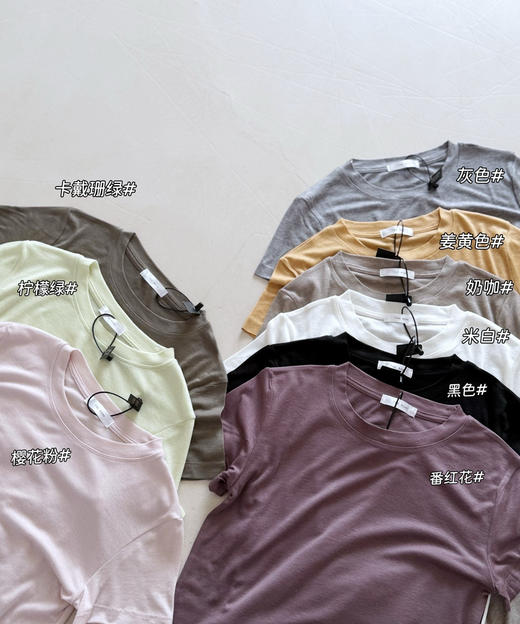 row同款镇店天丝羊毛短袖tee 商品图0