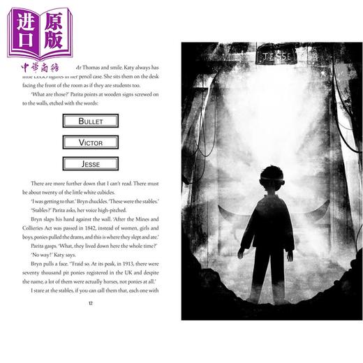 【中商原版】暗影小马 David Litchfield The Shadow Pony 英文原版 儿童文学 黑白插图中级小说故事 感人至深 进口童书 9岁+ 商品图2