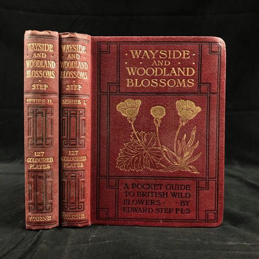 约20世纪早期 路边与林地野花指南（2卷） 257幅彩色与大量黑白插图 精装64开 商品图0