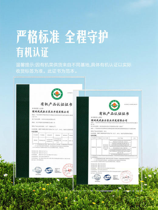 MM 山姆 有机绿豆芽 600g 商品图3