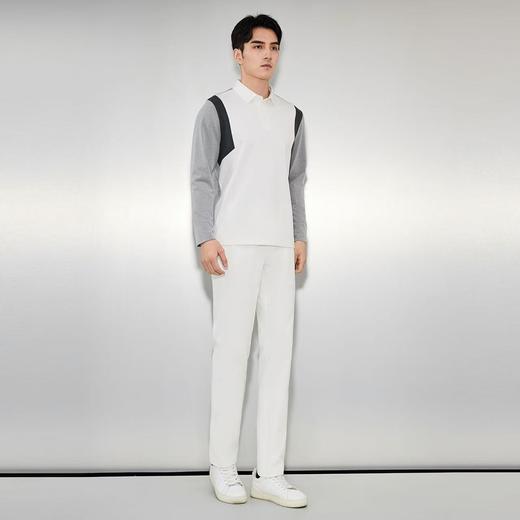 【富临店】雅戈尔长袖POLO 商品图1