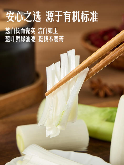 MM 山姆 有机大葱 500g 商品图5
