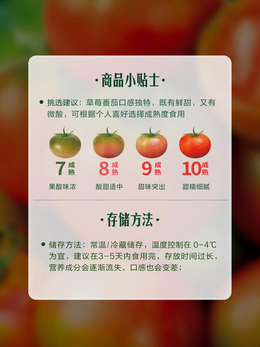MM 山姆 草莓番茄 1.25kg 商品图7