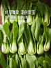 MM 山姆 有机油菜仔 600g 商品缩略图4