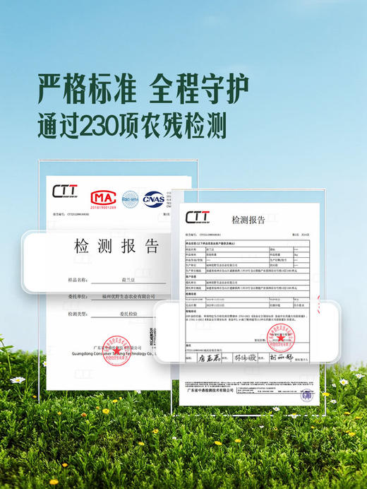 MM 山姆 荷兰豆 600g 商品图3