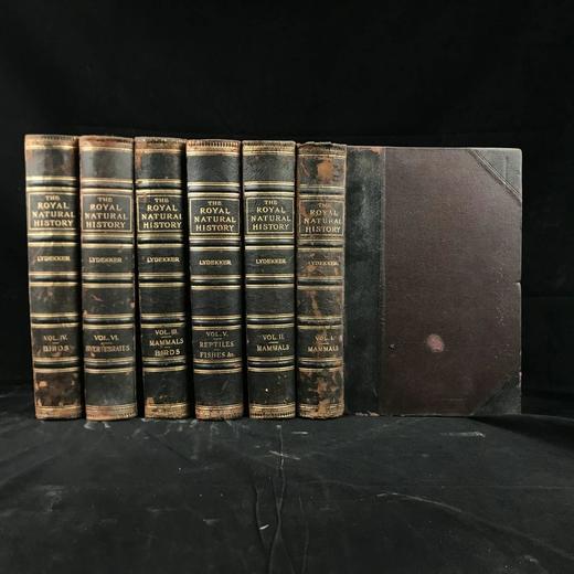 1893-96年 皇家自然史（全6卷） 千余幅版画插图（含大量套色版画） 真皮精装16开 商品图0