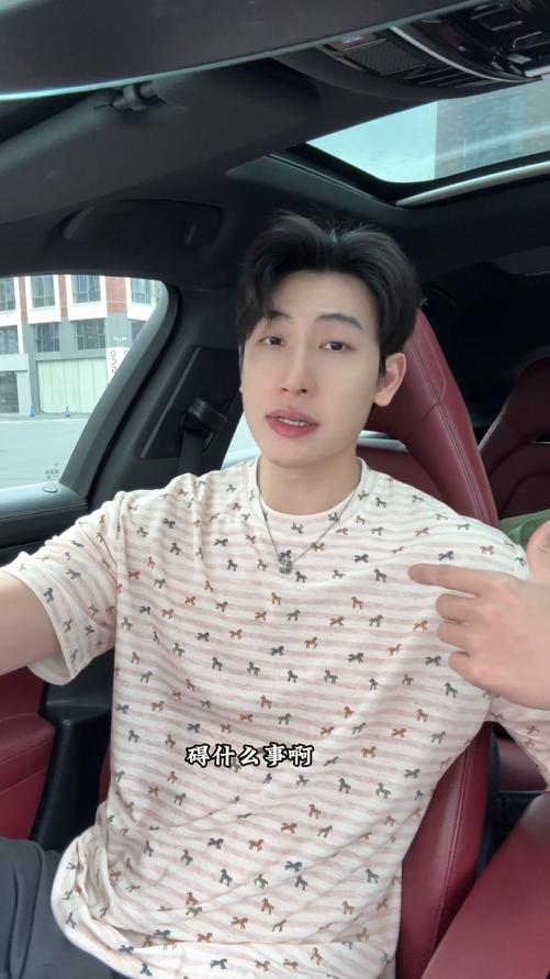 26T185SDSA男装2026新款轻奢时尚撞色条纹满印小马设计圆领短袖T恤百搭 商品图0