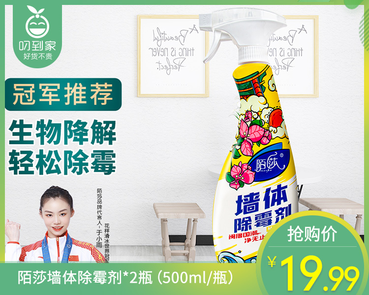 陌莎墙体除霉剂*2瓶（500ml/瓶）