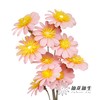 永生花 | 小葵花粉色 商品缩略图2