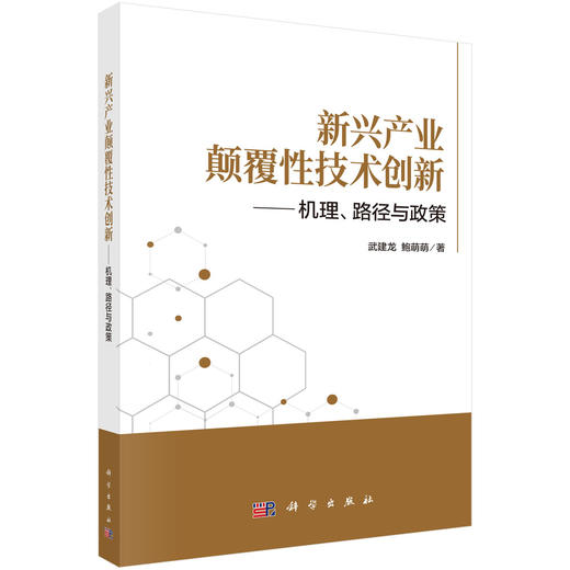 新兴产业颠覆性技术创新——机理、路径与政策 武建龙 鲍萌萌 9787030848802 商品图0