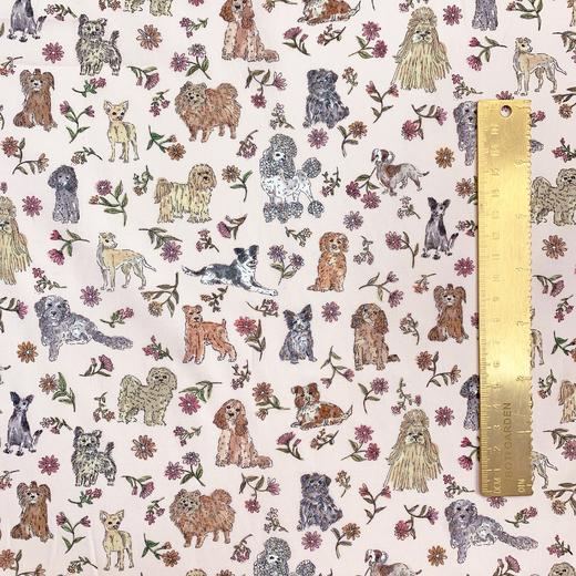 LT283C 马尔的伙伴们 Mal's Pals 英国LIBERTY利伯缇 塔纳棉高支100支 商品图1