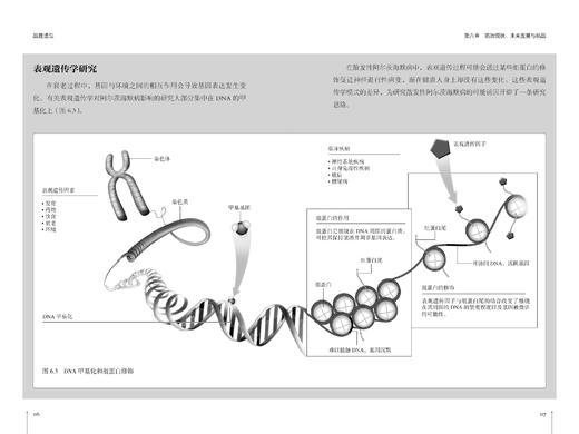 《战胜遗忘》 商品图8