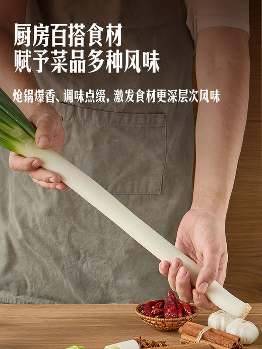 MM 山姆 有机大葱 500g 商品图6