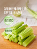 MM 山姆 有机西芹 600g 商品缩略图5