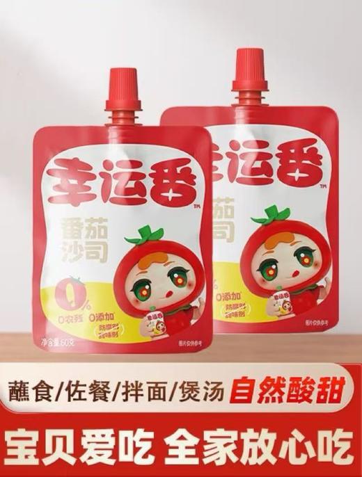 松鲜鲜番茄沙司番茄酱60g 商品图0