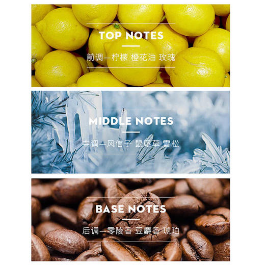 【春季焕新】【香港免税店🇭🇰】VERSACE范思哲同名经典男士淡香水100ml·香港直邮-x_bba 商品图5