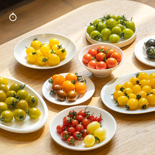 7天内发 企鹅市集|山东潍坊 斑斓小番茄盲盒 随机到手6个品种 优秀培育品种 滋味浓郁集中 商品图6