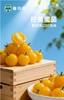 【高原七彩番茄调色桶】无激素、无农残、无重金属，皮薄多汁，口口爆浆，酸甜可口-CC 商品缩略图6