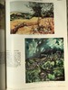 大英百科全书第14版（全24卷）数千幅插图（包括照片、版画、图表等） 精装大16开 商品缩略图8