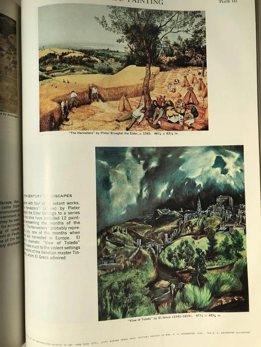 大英百科全书第14版（全24卷）数千幅插图（包括照片、版画、图表等） 精装大16开 商品图8