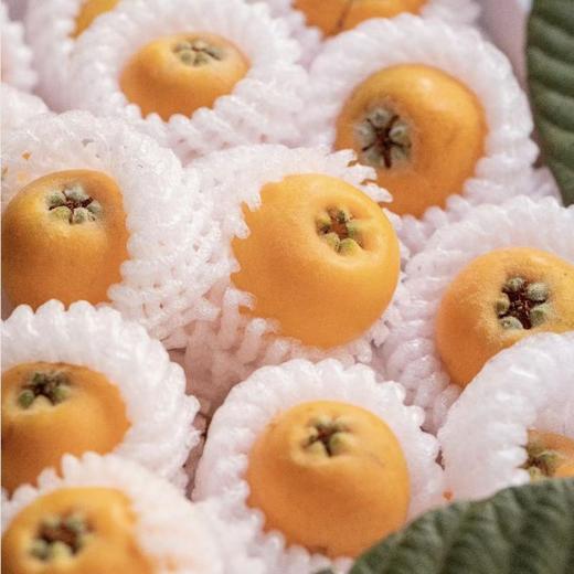 【云南鸡足山五星枇杷】 20年老树枇杷自然生长 个小肉厚皮薄多汁 馥郁醇厚 商品图4