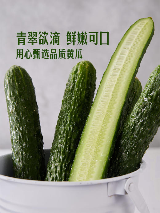 MM 山姆 黄瓜 1kg 商品图4