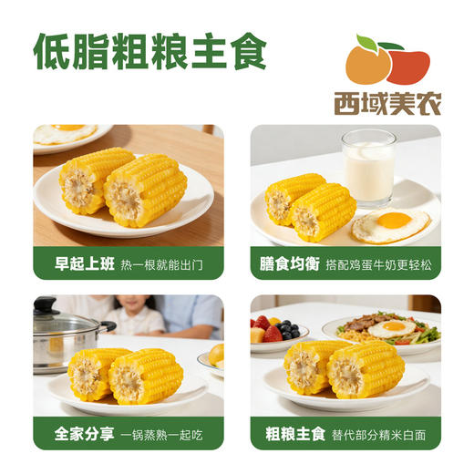 西域美农糯玉米240g*8根 东北黄糯玉米棒 低脂粗粮 早餐苞米 杂粮 商品图8