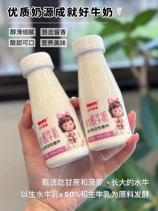 【预售5天内发货】水牛满满·低温水牛酸牛奶，生水牛乳搭配生牛乳发酵，富含6种活性菌种，配方干净，呵护肠道健康，风味醇厚有层次，每一口都能喝出天然的鲜醇感。配方干净，呵护肠道健康 商品图1