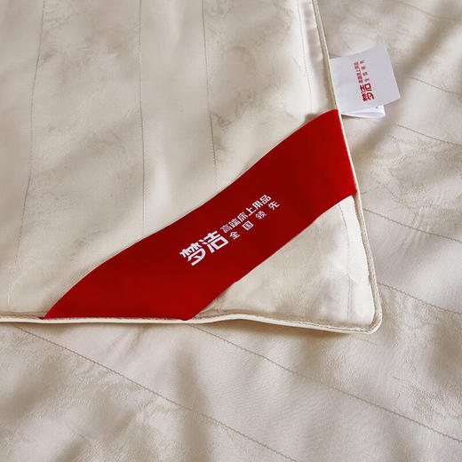 梦洁 60天丝提花纤维蚕丝复合四季被银海生花 商品图4