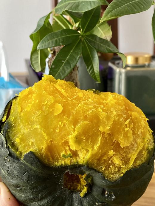 【进口种源】贝贝南瓜3斤装 皮薄肉厚 入口即化 全家都爱吃 商品图2