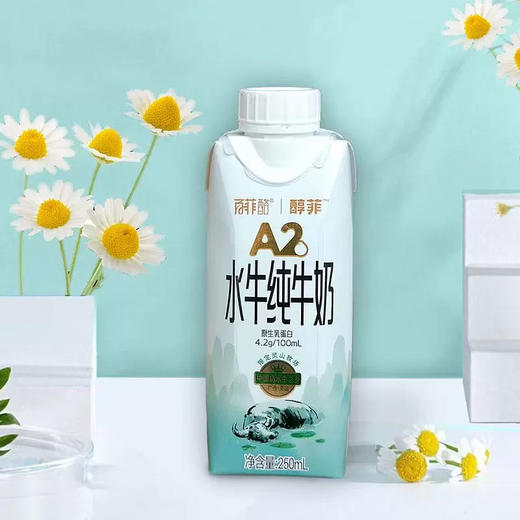 百菲酪醇菲4.2g乳蛋白A2水牛纯牛奶250ml*10盒整箱装学生奶 商品图4