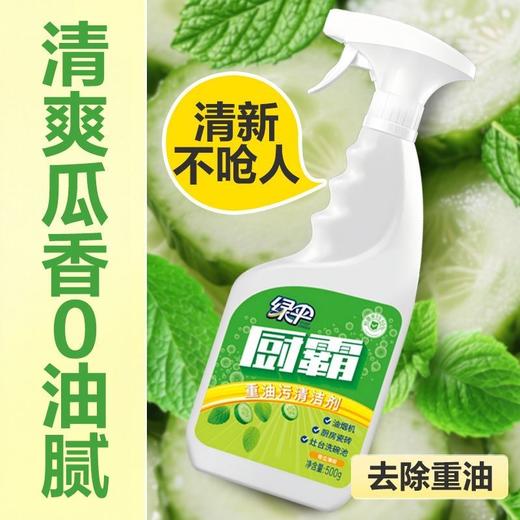 绿伞厨霸清洁剂强力去油污去重油除菌厨房卫生间瓷砖阳台厨房重油污克星 商品图5