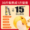 梨花猫古树梨膏挤压装 商品缩略图1