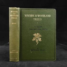 约1940年 路边与林地树木图鉴 200余幅插图（24幅彩色） 精装36开