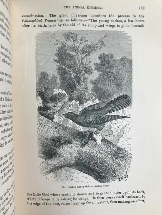 工坊特装本！1906年 宏观与微观宇宙 276幅版画插图 全真皮精装大32开 商品图8