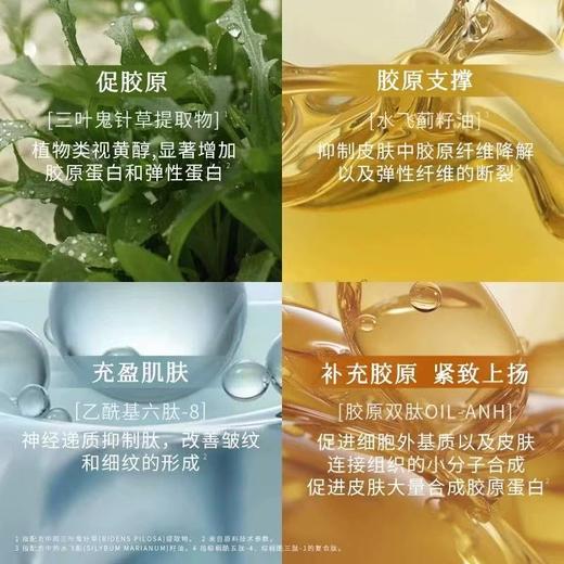 枫缇向日葵颈部精华油胶囊 紧致修护颈纹脖颈霜颈膜30粒 商品图7