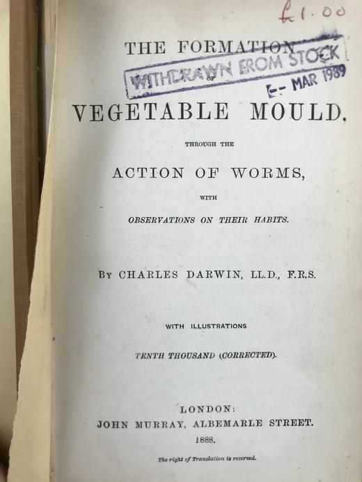 1888年 达尔文《腐植土的形成：蚯蚓的作用及其习性观察》 配插图 精装32开 商品图3