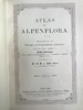 1881-1884年 阿尔卑斯山植物图鉴（5卷） 500幅彩色版画插图 精装32开 商品缩略图2