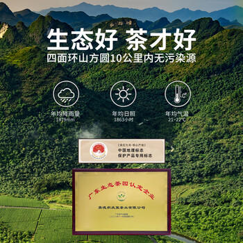 积庆里英红九号原产地大份量自饮口粮茶袋装英德红茶经典小条300g /水饮冲调 /茗茶 /红茶 商品图7