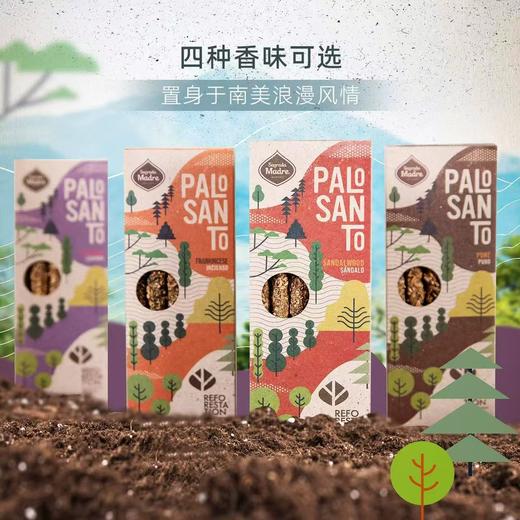 圣马德雷圣木永续系列天然线香礼盒室内香薰香插伴手礼物 商品图0