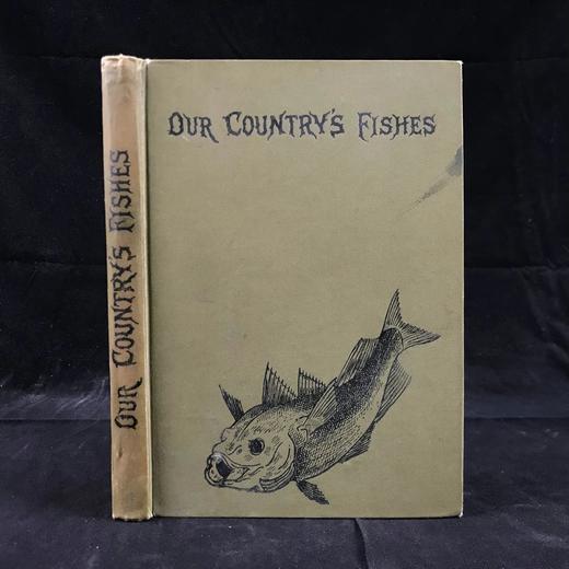 约20世纪早期 英国鱼类图鉴 33页彩色与大量黑白插图 漆布精装32开 商品图0