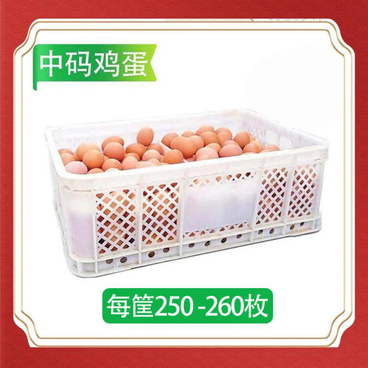 【会员专享】鲜鸡蛋(中码蛋) 净重30斤/筐 每筐250-260枚 (报价包含筐押金10元 商品图0