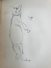 1930年 迈克尔·约瑟夫《猫咪的陪伴》 配大量手绘速写画 漆布精装16开 商品缩略图9