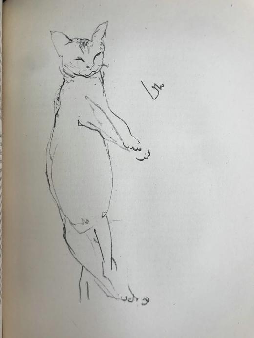 1930年 迈克尔·约瑟夫《猫咪的陪伴》 配大量手绘速写画 漆布精装16开 商品图9