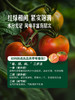 MM 山姆 草莓番茄 1.25kg 商品缩略图5