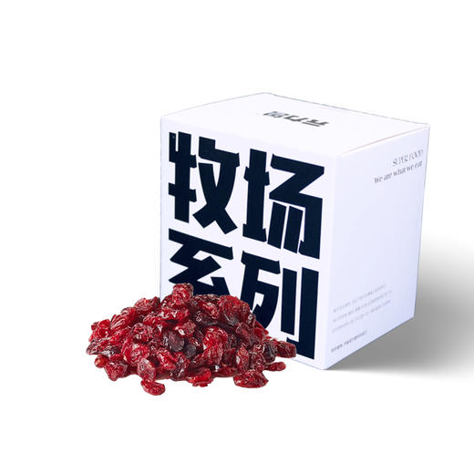 元力兽0蔗糖三角奶酪 商品图2