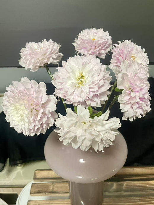 【新花派】大丽花~陈映君 嫩粉色 约5枝/扎 商品图0